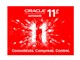 ORACLE Oracle 11g 简化版