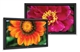 NEC PlasmaSync 50XP10