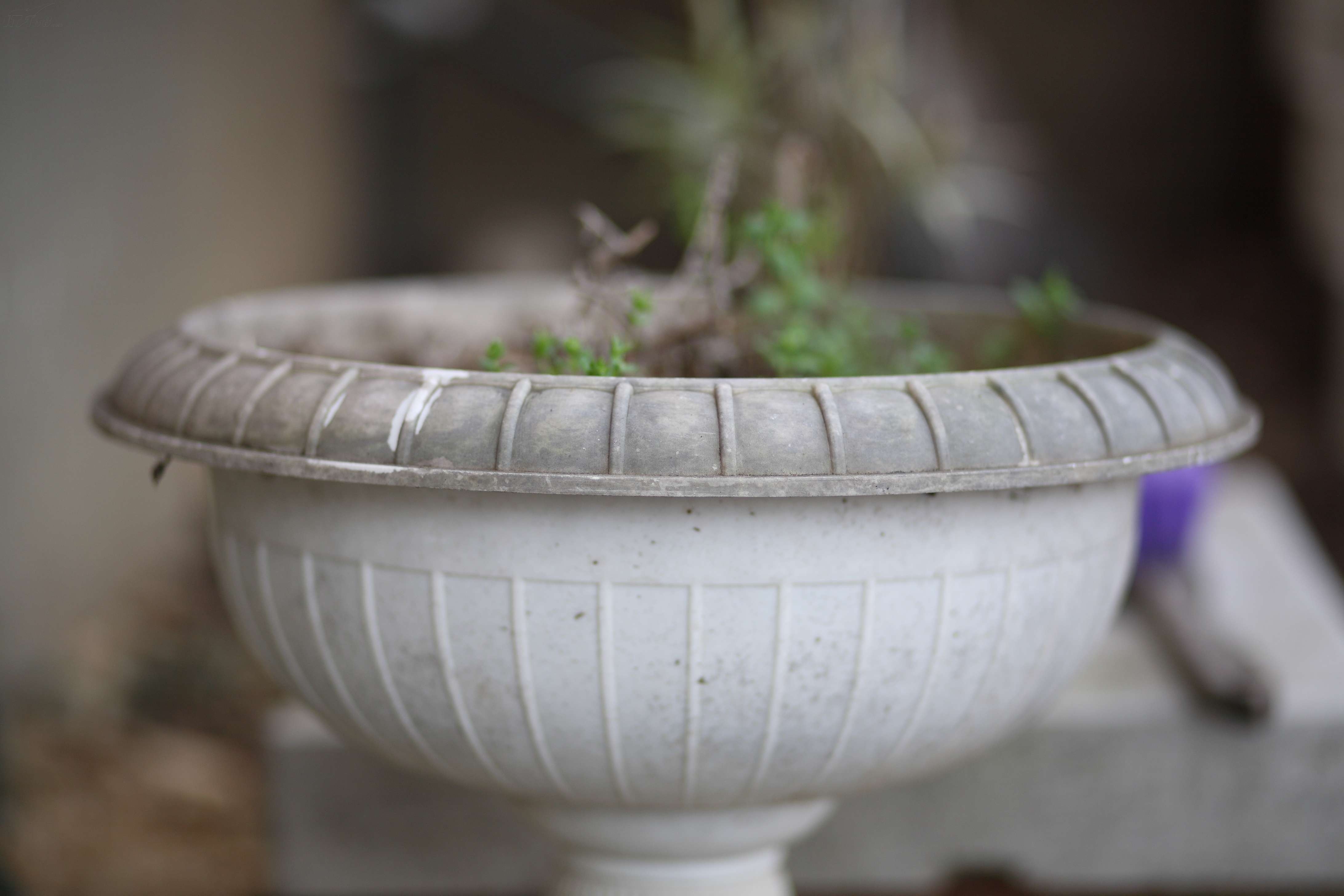 8 usm样张图片16素材-it168镜头图片大全