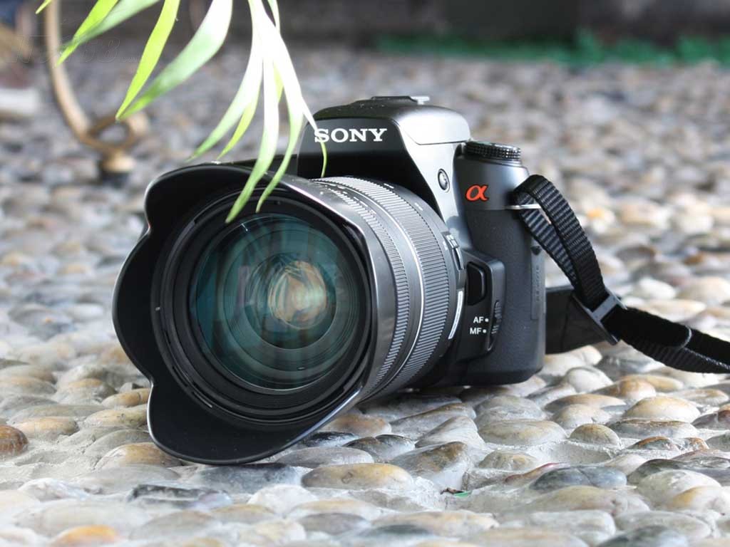 索尼a450(单头套机18-55mm)数码相机图片37_索尼a450(单头套机18-55mm